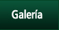 Galer&iacute;a